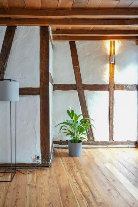 Charmante Fachwerk Wohnung Mit Terrasse In Der Altstadt Koblenz  Buitenkant foto